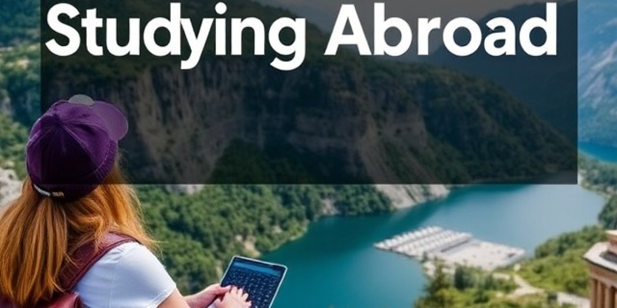 Your Guide to Studying Abroad with Professional Support