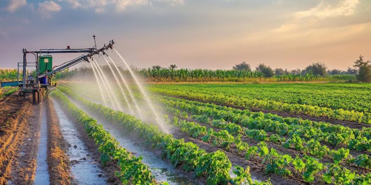 Why Drip Irrigation Melbourne is the Best Solution for Your Garden's Watering Needs