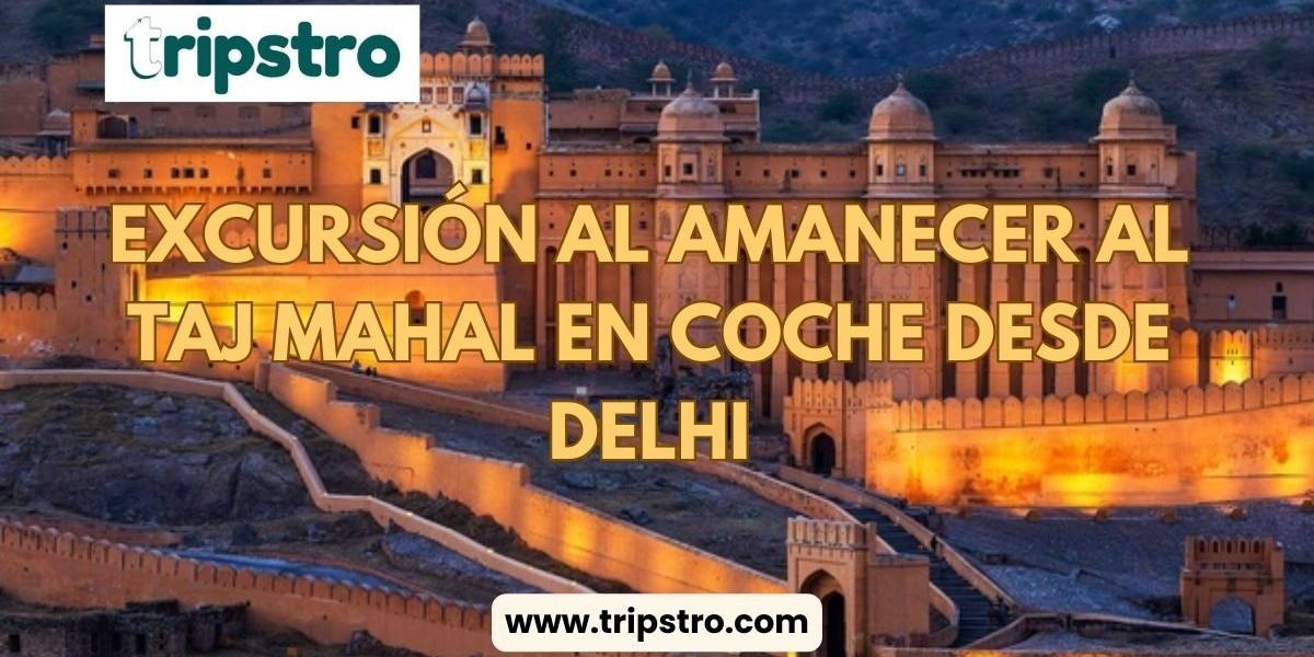 Aventura turística en coche: Un día en Jaipur