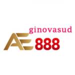 AE888 ginovasud Profile Picture