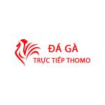 Đá Gà Trực Tiếp Thomo Hôm Nay Profile Picture