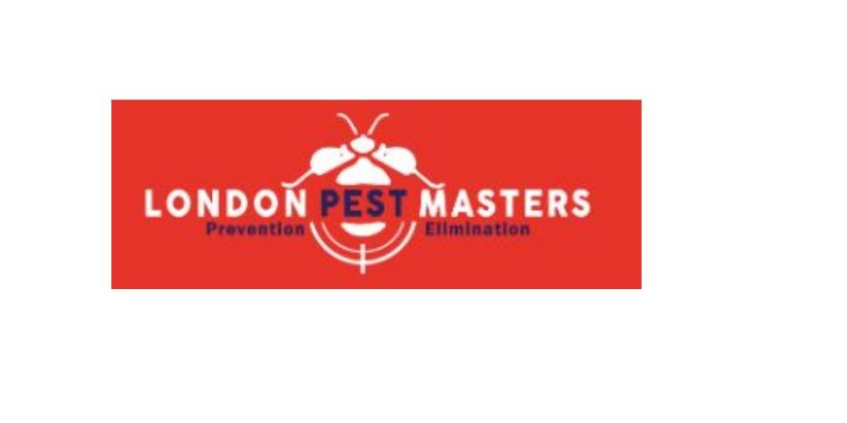 Cockroach Control Service East London - Pest Masters