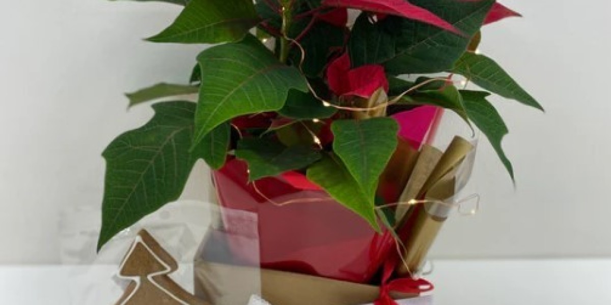 Brighten Your Festive Season with Christmas Flowers and Cake Delivery in Melbourne