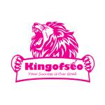 Kingofseo Institute Profile Picture