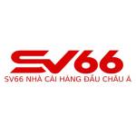 sv66 Chính Thức sv66 **** Profile Picture