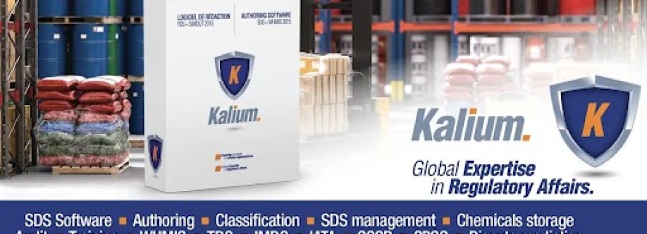 Kalium Solutions Cover Image