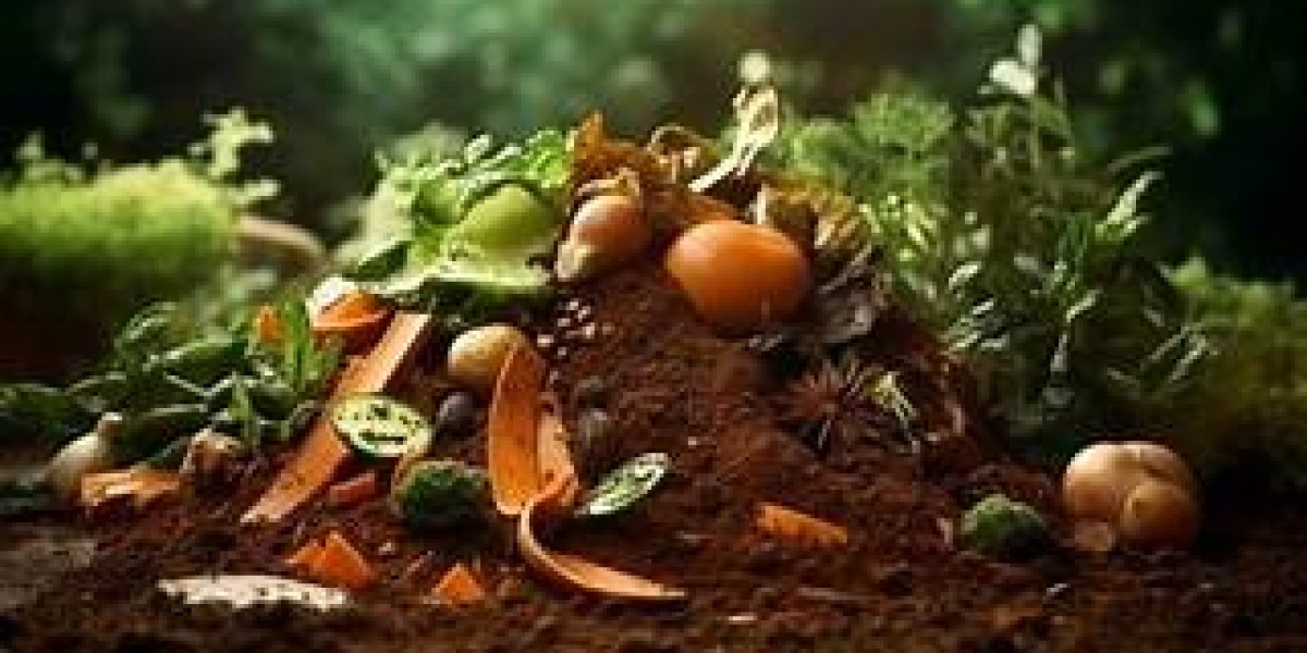 Organic Plant Food: Nurturing Nature with Care