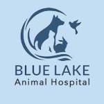 Blue Lake Animal Hospital Profile Picture