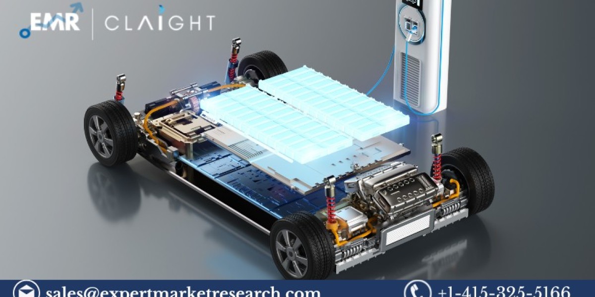 Japan Electric Vehicle Motor Market Size, Share & Trends 2025-2033