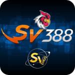 sv3888comlinkcasino Profile Picture