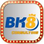 bk8consulting Profile Picture