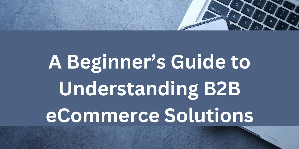 A Beginner’s Guide to Understanding B2B eCommerce Solutions