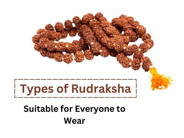 5 Types Of Rudraksha And Their Benefits | Hidden Mantra