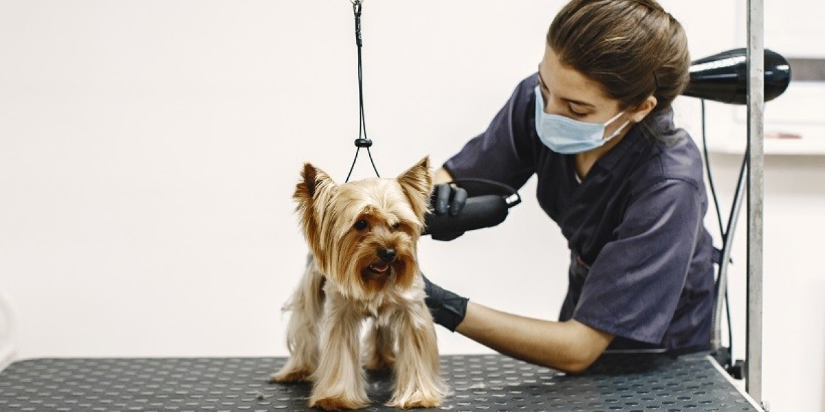 The Importance of Dog Grooming in Hot Climates