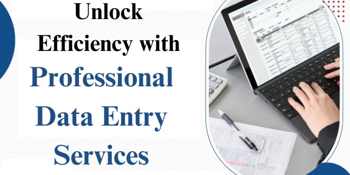 Unlock Efficiency with Professional Data Entry Services