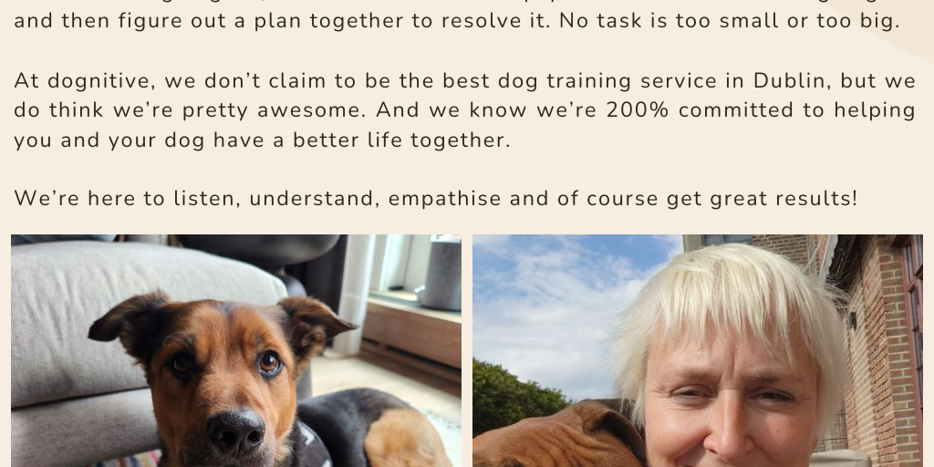 Dog Training Dublin by Richard Avedon - Infogram