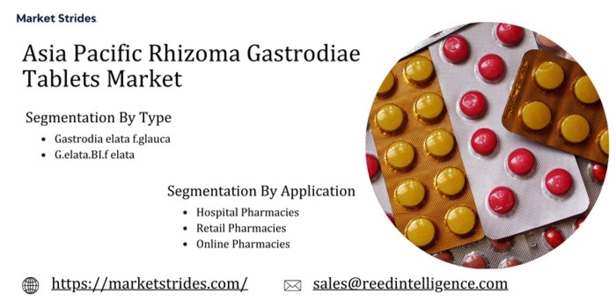 Asia Pacific Rhizoma Gastrodiae Tablets Market Industry Projections 2025-2033: Trends and Market Growth Insights