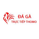 Đá Gà Trực Tiếp Thomo Hôm Nay Profile Picture