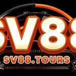 SV 88 Profile Picture