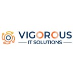 Vigorous IT Solutions Profile Picture