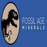 Fossil Age Minerals Profile Picture