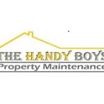 The Handy Boys Profile Picture