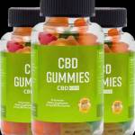 Thera Bloom CBD Gummies Profile Picture