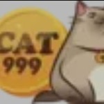 cat999 kim Profile Picture