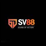 SV88 mom Profile Picture