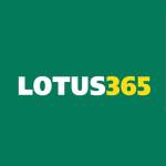 lotus365 ong Profile Picture