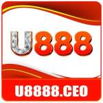 U888 CEO Profile Picture