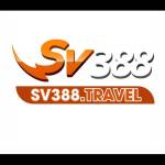 SV388 Profile Picture