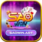 SAOWIN Profile Picture