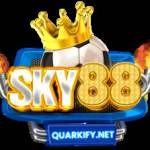 SKY88 Profile Picture