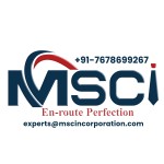 MSCincorporation Consultancy Services profile picture