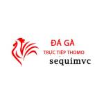 Đá Gà Trực Tiếp Thomo Hôm Nay Profile Picture