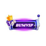 BUMVIP Profile Picture