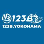 123byokohama Profile Picture