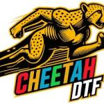 cheetahdtf Profile Picture