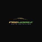 Pro Mobile Auto Detailing Profile Picture