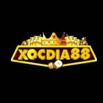 Xocdia88 Profile Picture