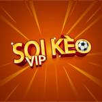 Soikeo Vip Profile Picture