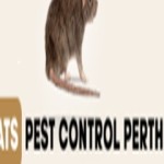 ratpest controlperth Profile Picture