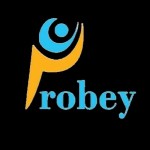 Probey Services Profile Picture