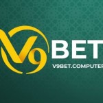 v9bet computer Profile Picture