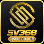 sv368 cocom Profile Picture