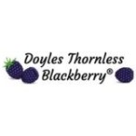 DoylesBlackberryInc Profile Picture