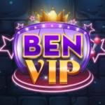 benvipus Profile Picture