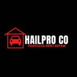 HailPro CO Profile Picture