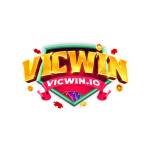 VICWIN IO Profile Picture